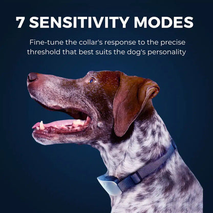 Smart Anti-Bark Training Collar for Dogs