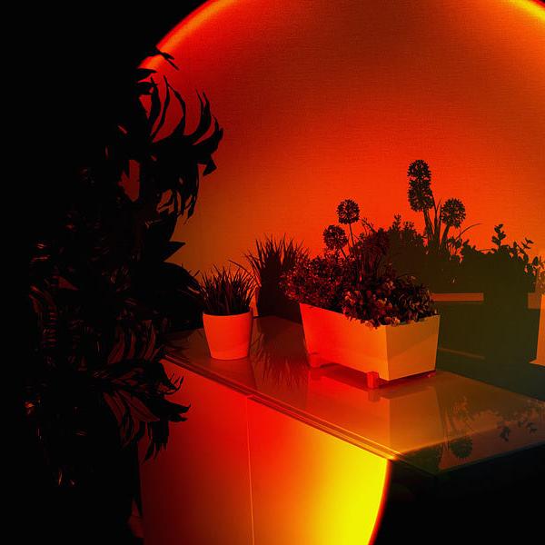 New Sunset Projector Lamp